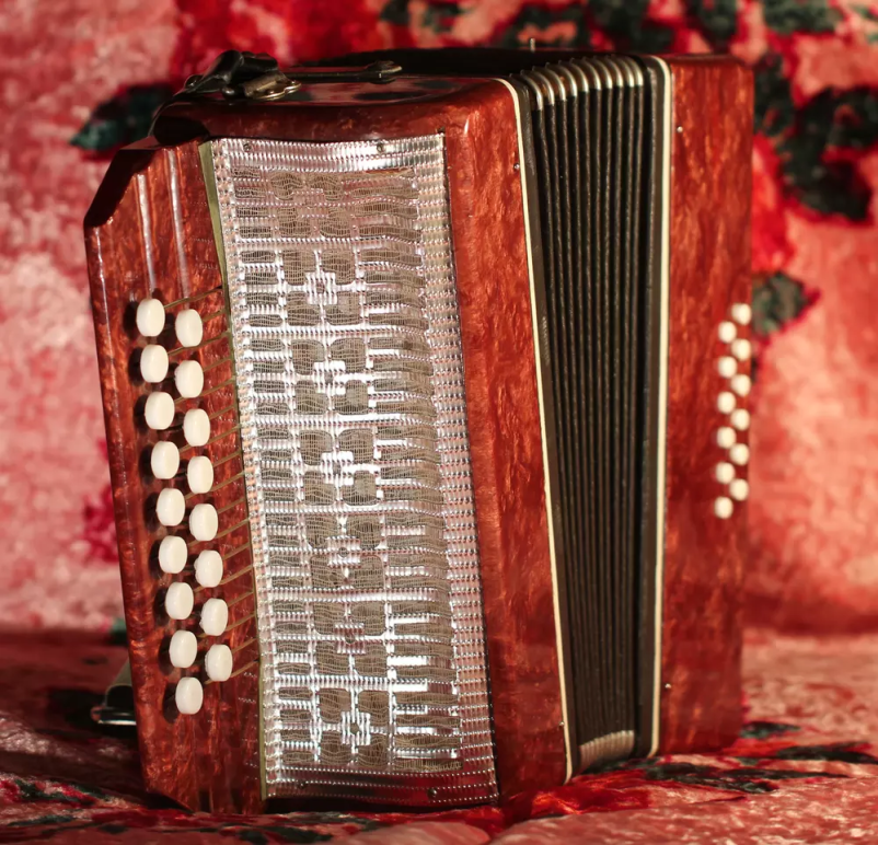 Učenje diatonične harmonike