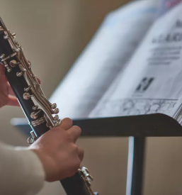 Poucevanje glasbe in instrumentov koroska