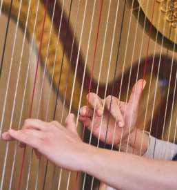 Poucevanje glasbe in instrumentov koroska