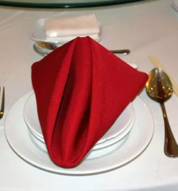 Pranje in likanje hotelskega perila in za cateringe