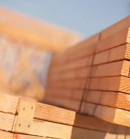 Predelava lesa Železniki, Gorenjska