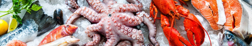 Predelava ribjih izdelkov Pomurje 