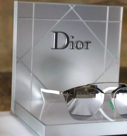 Optika Sežana, okolica