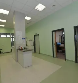 Prehranska dopolnila za male živali