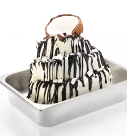 Pasta za pripravo sladoleda Slovenija