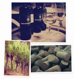 Premium red wine of Slovenia