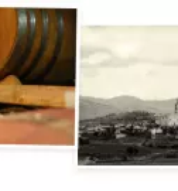 Premium red wine of Slovenia