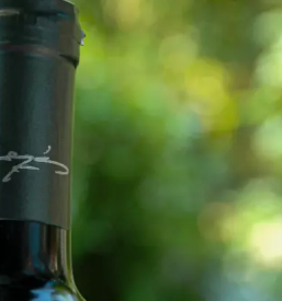 Premium white wine of Slovenia