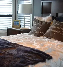 Prenocisca kidricevo