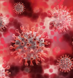 Preprecevanje in obvladovanje okuzb slovenija