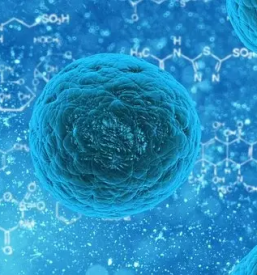 Preprecevanje in obvladovanje okuzb slovenija