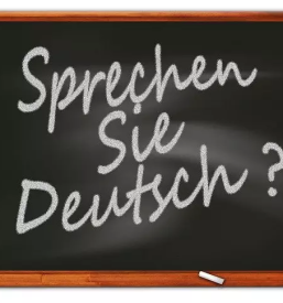 Prevajanje nemskega jezika novo mesto okolica