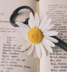 Prevajanje nemščine Posavje