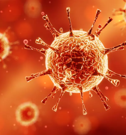 Preventivni ukrepi proti okuzbam slovenija