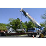 KROVSTVO TRANSLES ROK GRIČAR S.P.