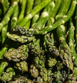 Pridelava bio domacih spargljev pomurje