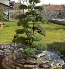 Pridelava rastlin stajerska