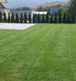 Pridelava rastlin stajerska