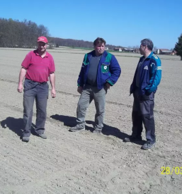 Dobra sladkorna pesa