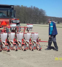 Kakovostna sladkorna pesa