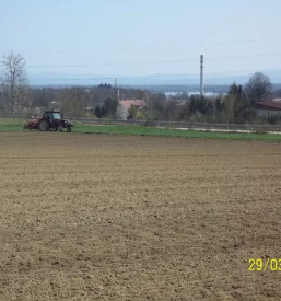 Prodaja sladkorne pese