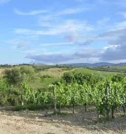 Prireditev starih obicajev zgornja velka