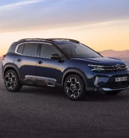 Prodaja citroen vozil primorska