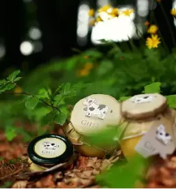 Prodaja ghee masla slovenija