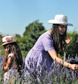 Prodaja bio cistil slovenija