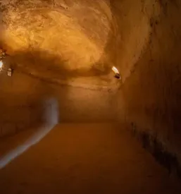 Prodaja vin Bizeljsko