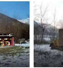 Prodaja cebeljih druzin goriska