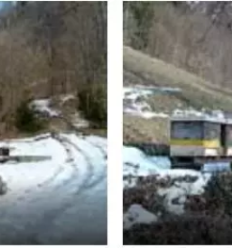 Prodaja cebeljih druzin goriska