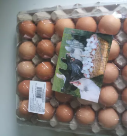 Prodaja domačih jajc in kokoši