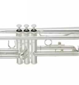 Prodaja glasbil posavje