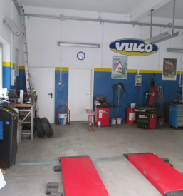 Prodaja gum severna primorska