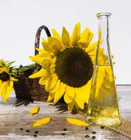 Ugodna jajca Dolenjska