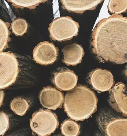 Prodaja hlodovine crnomelj