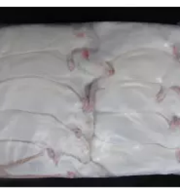 Prodaja hrane za kace v sloveniji