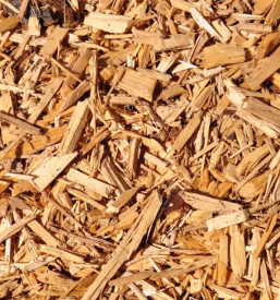 Ugodna prodaja in odkup hlodovine Ljubljana