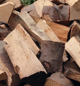 Prodaja in odkup hlodovine semic