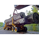 ITOLEX TRGOVINA IN STORITVE D.O.O.