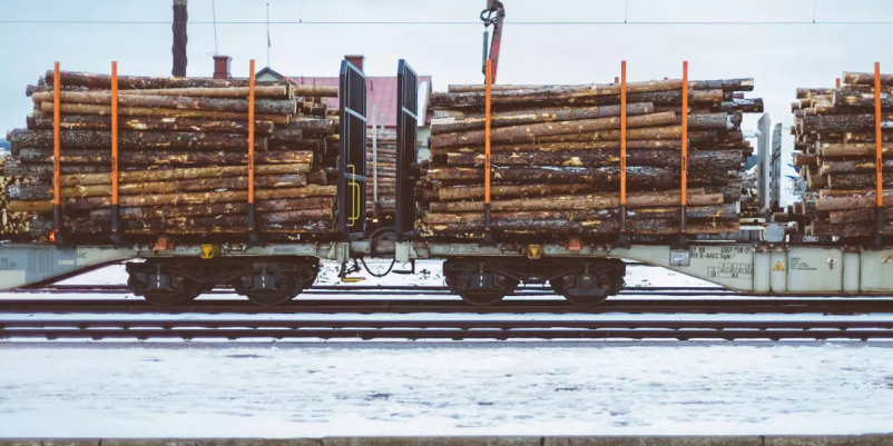 Ugodna prodaja in odkup lesa Dolenjska