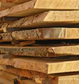 Prodaja in predelava lesa slovenija