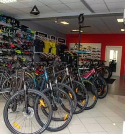 Poceni servis koles Štajerska