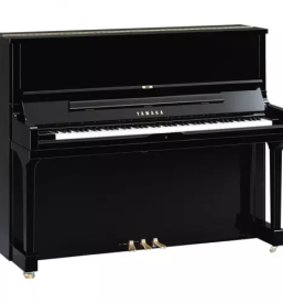 Servis in uglaševanje klavirjev Slovenija