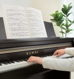 Prodaja, uglaševanje in servis klavirjev in pianin Slovenija