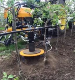 Leseni sodi Goriška