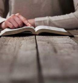 Prodaja knjig nova gorica okolica