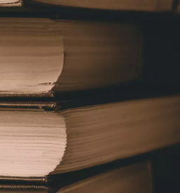 Prodaja knjig nova gorica okolica