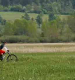 Prodaja koles cerknica